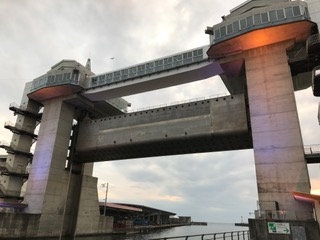 IMG_1304.jpg