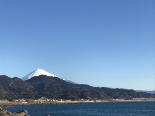 IMG_1503.jpg