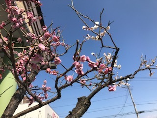 IMG_1934.jpg